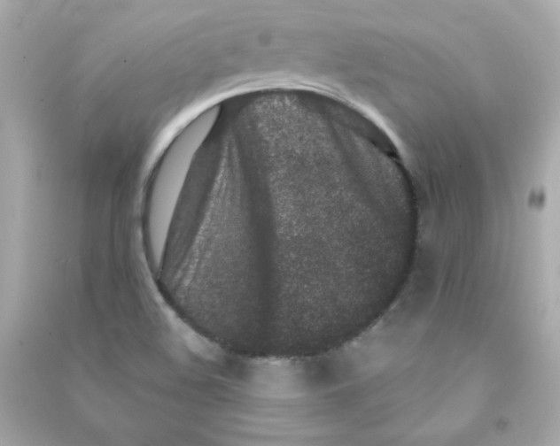 X0000090421508200708101930