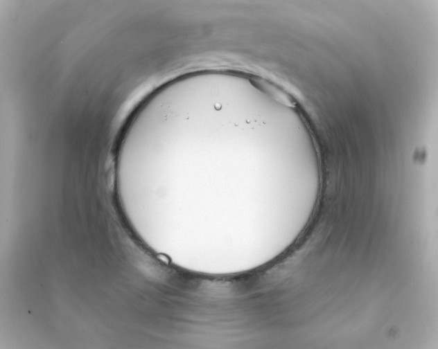 X0000090421509200708101930