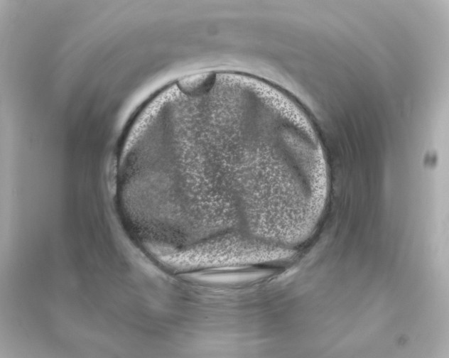 X0000090421510200708101930