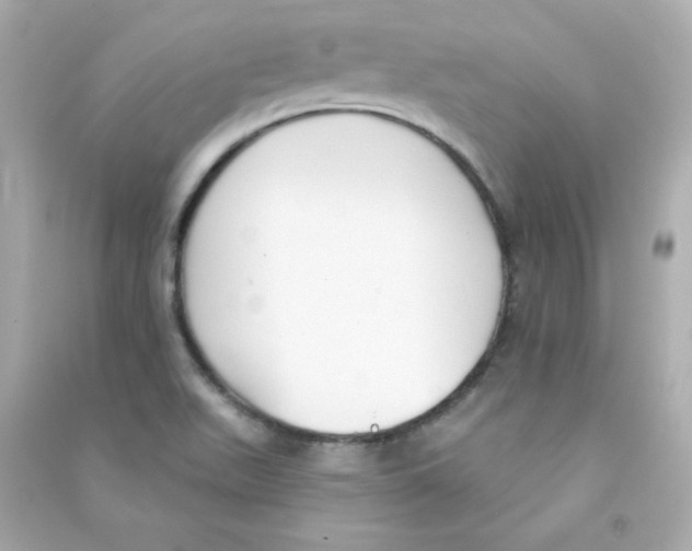 X0000090421511200708101930