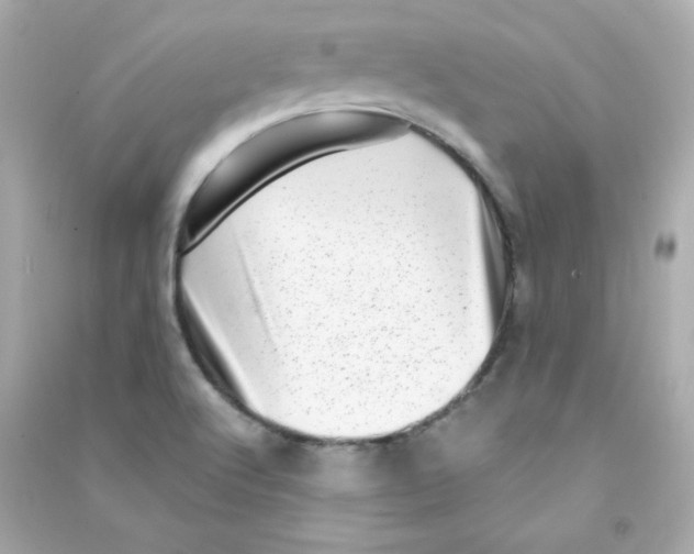 X0000090421512200708101930