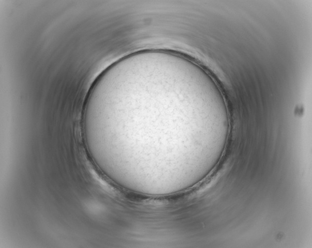 X0000090421513200708101930