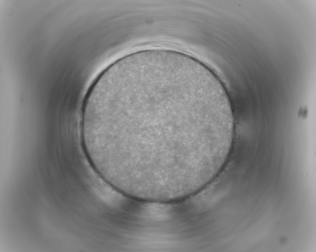 X0000090421514200708101930