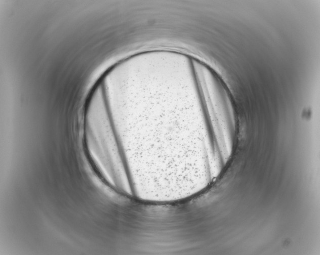 X0000090421515200708101930