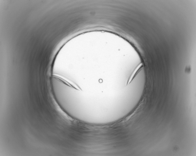 X0000090421516200708101930