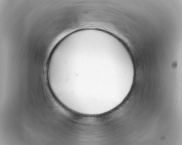 X0000090421517200708101930