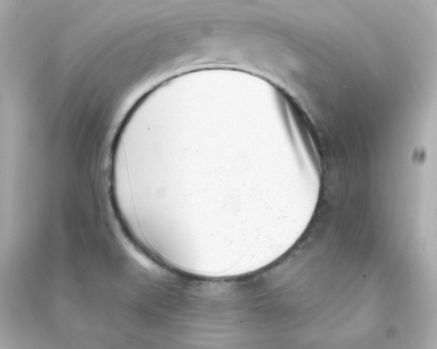 X0000090421519200708101930