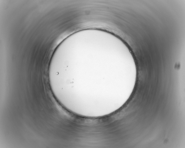 X0000090421521200708101930