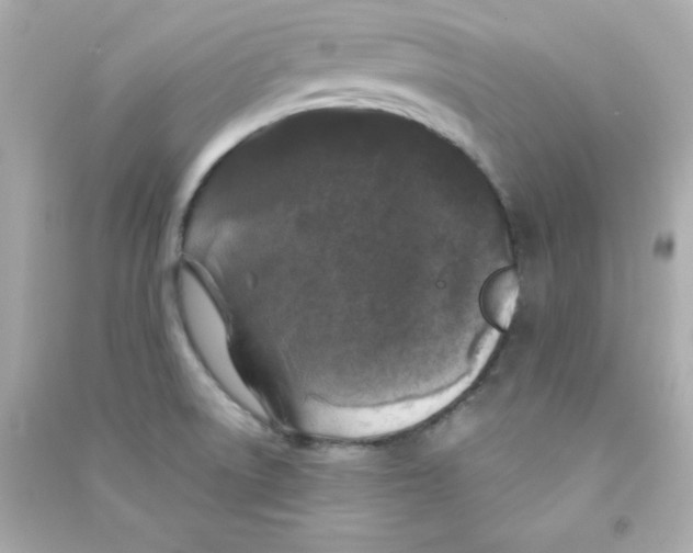 X0000090421522200708101930