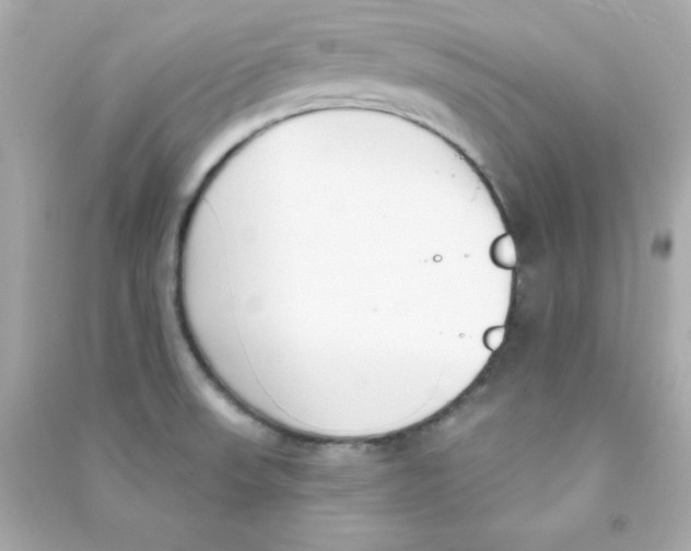 X0000090421523200708101930