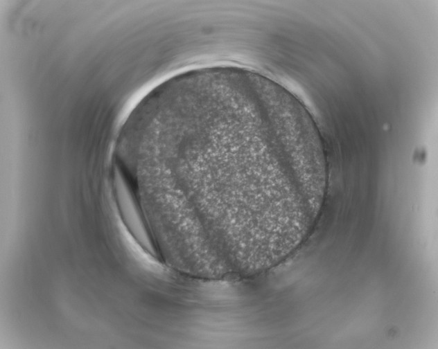 X0000090421524200708101930