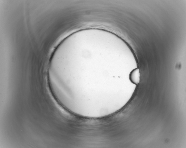 X0000090421525200708101930