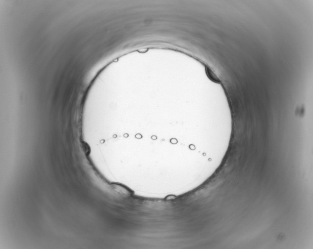 X0000090421526200708101930