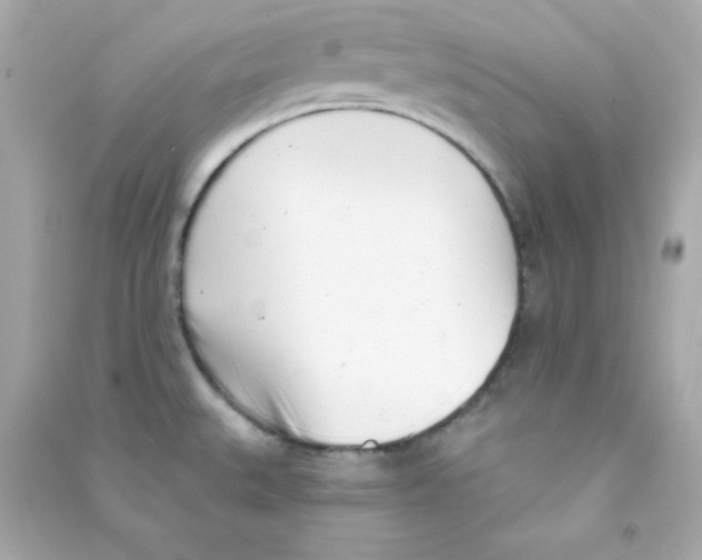 X0000090421527200708101930