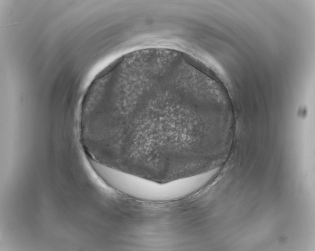 X0000090421528200708101930