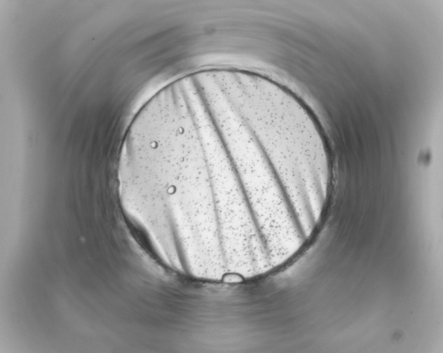 X0000090421529200708101930