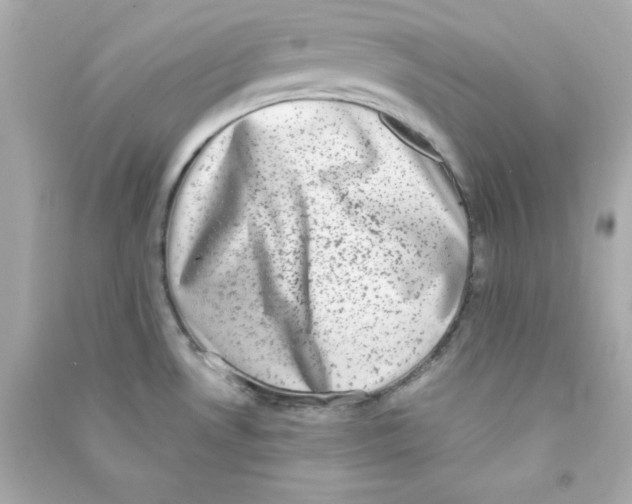 X0000090421530200708101930