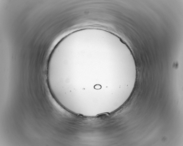 X0000090421531200708101930