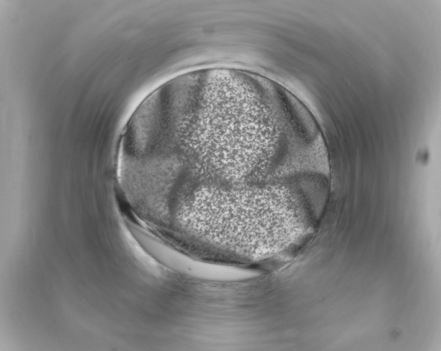 X0000090421532200708101930