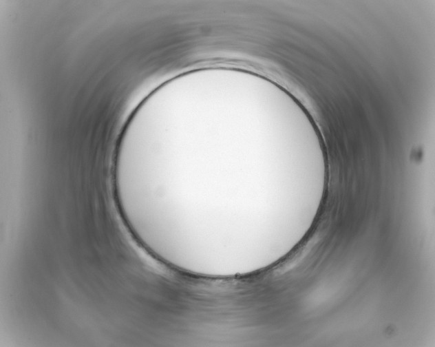 X0000090421533200708101931