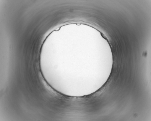 X0000090421534200708101931