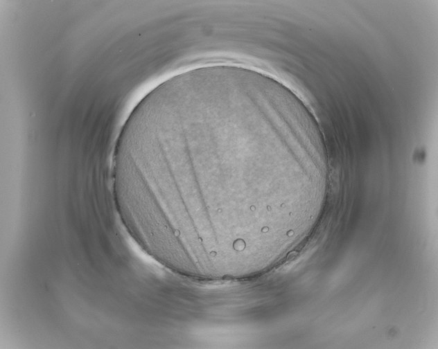 X0000090421535200708101931