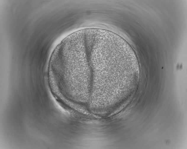 X0000090421536200708101931