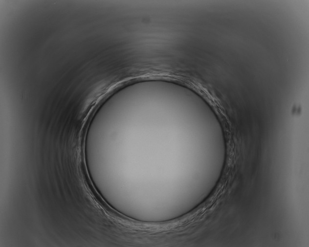 X0000090430002200707131018