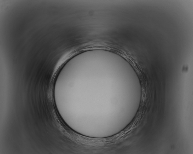 X0000090430004200707131018