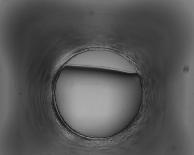 X0000090430005200707131018