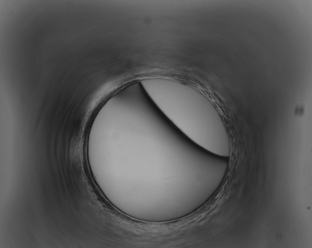 X0000090430006200707131018