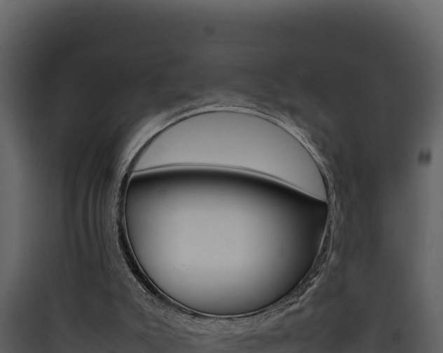 X0000090430007200707131018