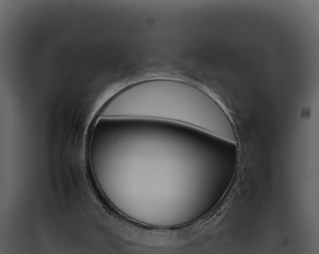 X0000090430008200707131018