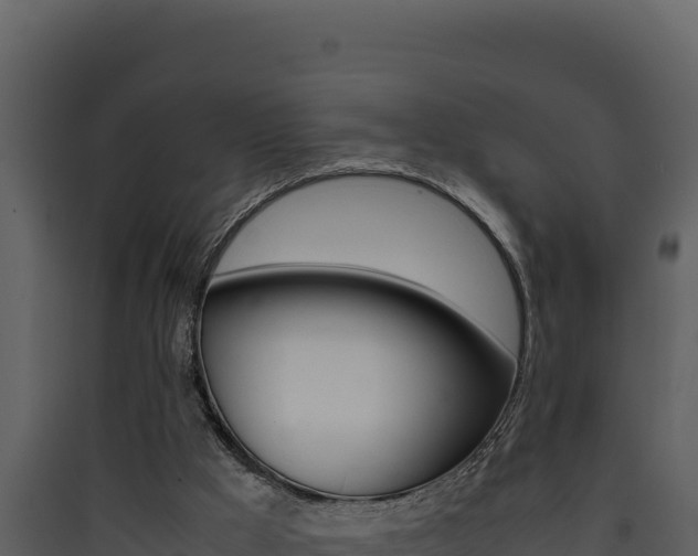 X0000090430009200707131018
