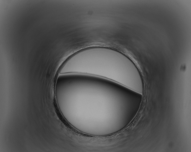 X0000090430011200707131018