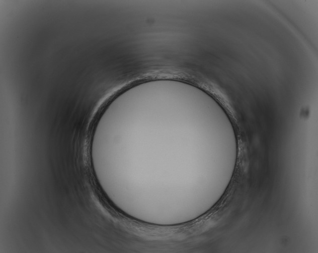 X0000090430012200707131018