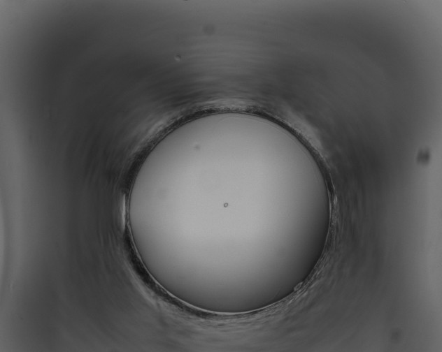 X0000090430013200707131018