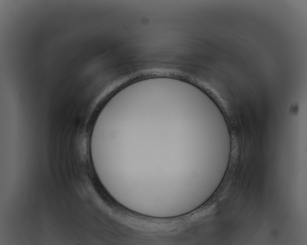 X0000090430016200707131018