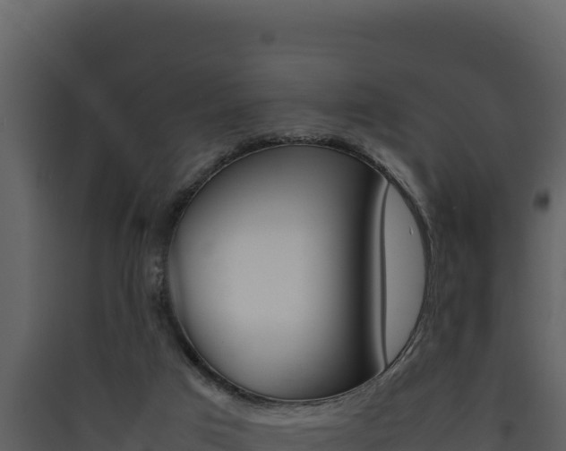 X0000090430017200707131018