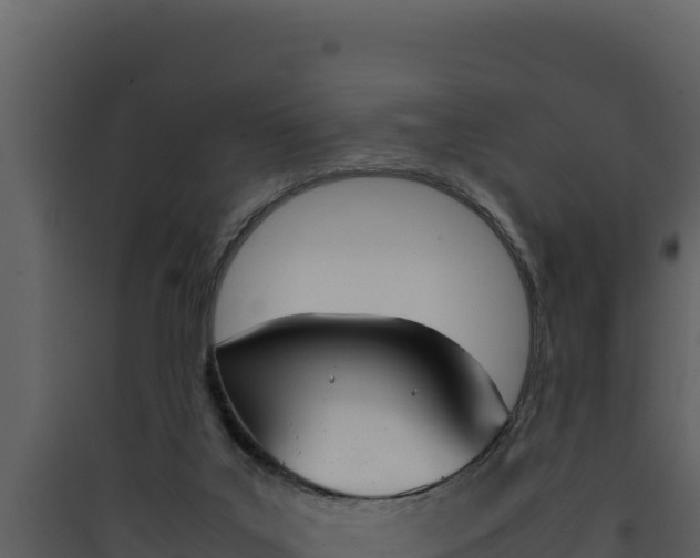X0000090430019200707131018