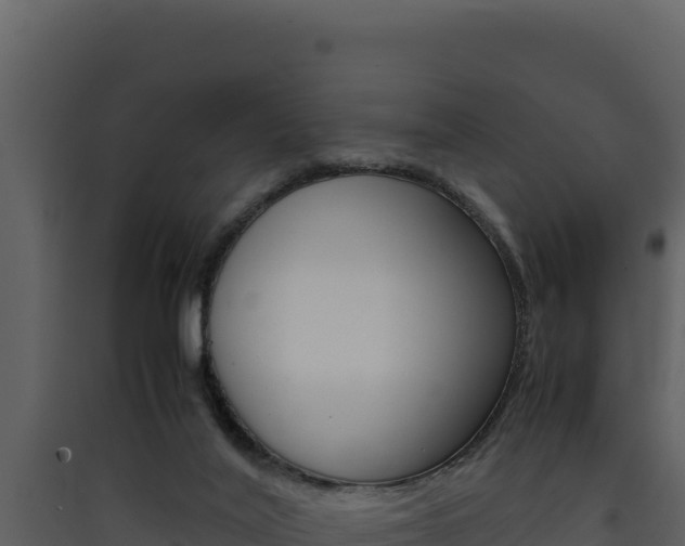 X0000090430020200707131018
