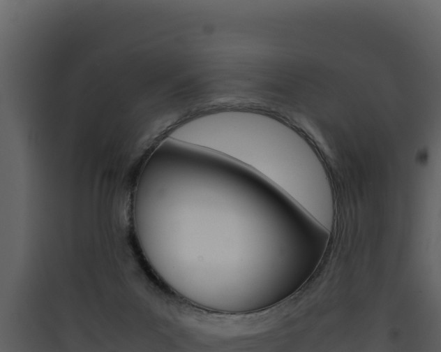 X0000090430023200707131018