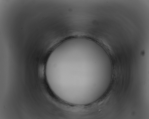 X0000090430024200707131018