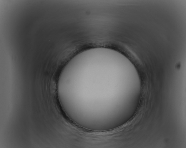 X0000090430025200707131018