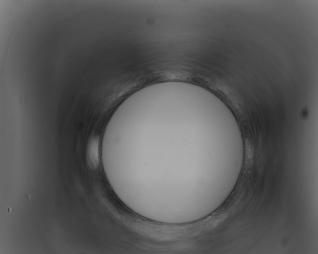 X0000090430028200707131018