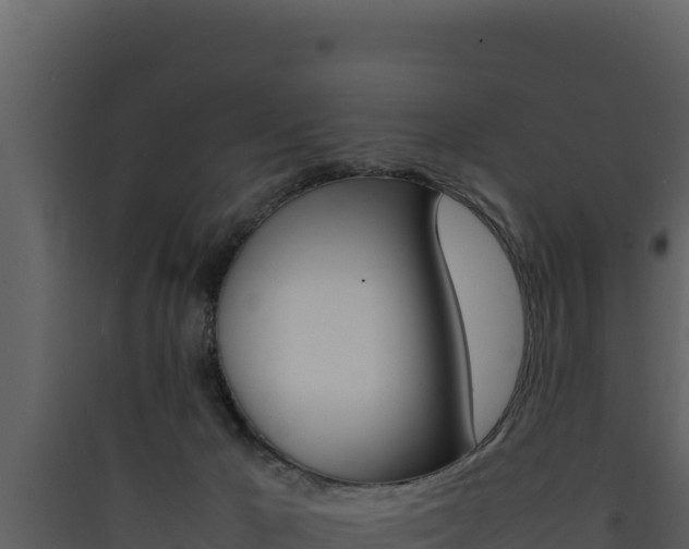 X0000090430029200707131018