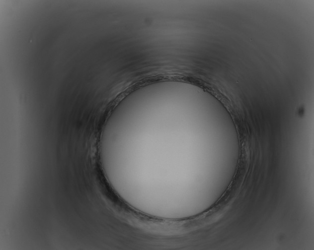 X0000090430032200707131018