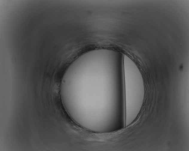 X0000090430033200707131018