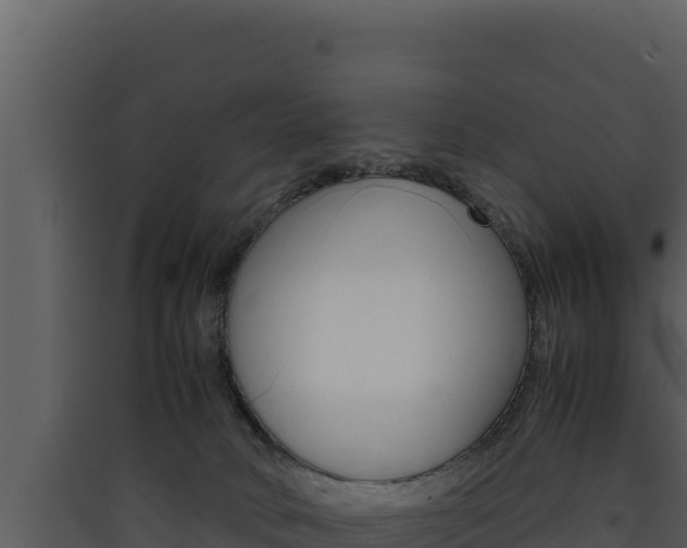 X0000090430034200707131018