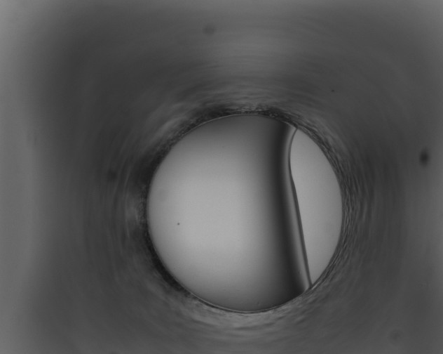 X0000090430035200707131018